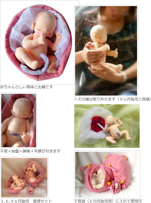 胎児人形 6ヶ月