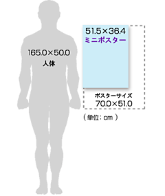 人体解剖図サイズ比較