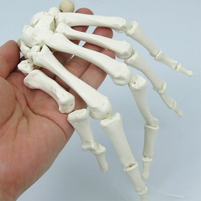 ナイロン糸で連結