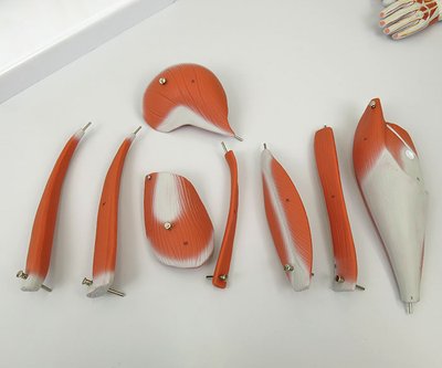 取り外せるパーツ