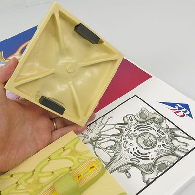 パーツは磁石で固定されています