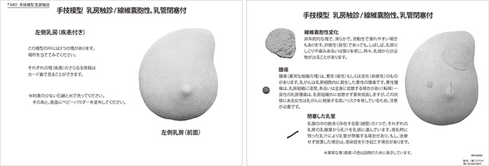 乳房触診モデルに付属する英文イラストカード