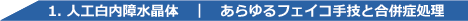 白内障手術練習用模擬眼 机太郎ウェットラボセット 詳細画像4