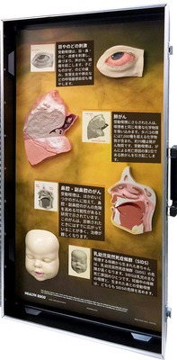 3D模型ディスプレイ 受動喫煙の害の右側のパネル。立体模型4個と日本語の解説