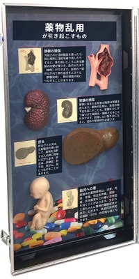 3D模型ディスプレイ 薬物乱用の害の左側のパネル。立体模型4個と日本語の解説