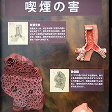 3Dディスプレイ　喫煙の害　詳細画像