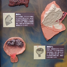 3Dディスプレイ　喫煙の害　詳細画像