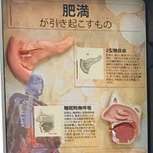 3Dディスプレイ　肥満が引き起こすもの　詳細画像