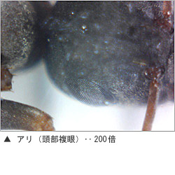 USB肌ミラー 詳細画像7