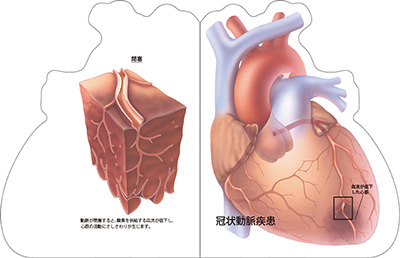 型抜き絵本 心臓 07-08ページ