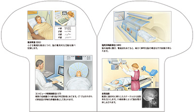 型抜き絵本 ヒトの脳 05-06ページ