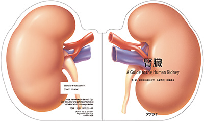 型抜き絵本 腎臓 表紙