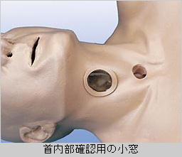 首内部確認用の小窓