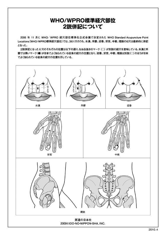 医学模型　経絡経穴モデル 詳細画像2