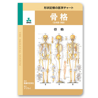 （医学ポスター）　形状記憶の医学チャート　骨格