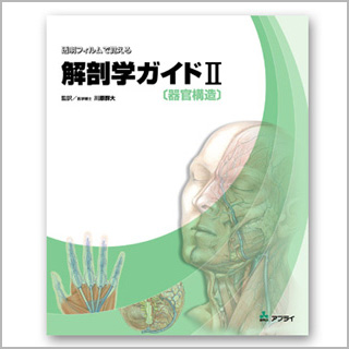 透明フィルムで覚える　解剖学ガイド II 〔器官構造〕