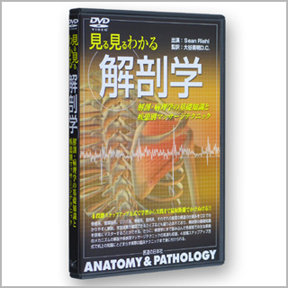 DVD　見る見るわかる解剖学