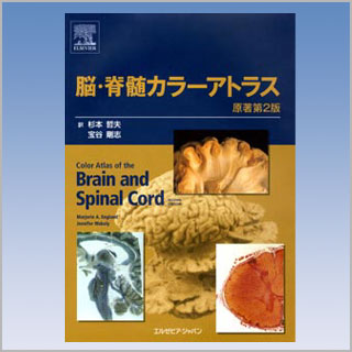 書籍　脳・脊髄カラーアトラス