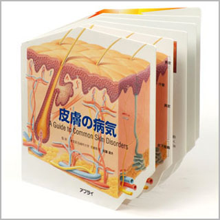 型抜き絵本　皮膚の病気