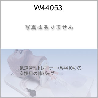 交換部品　肺バッグ