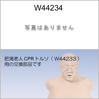 交換部品　肺/24個（W44233用）