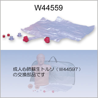 交換部品　肺・気道システム/W44597用