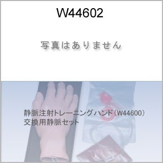 交換部品　静脈セット（W44600用）