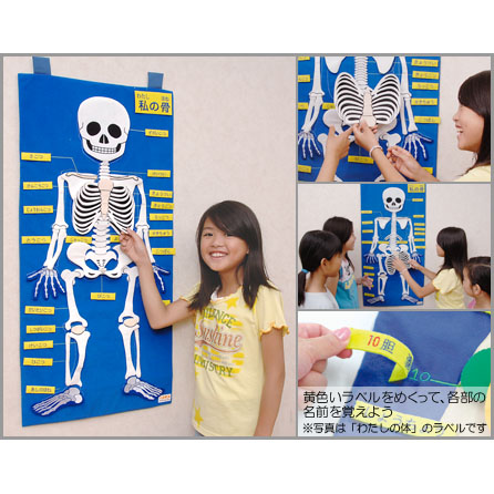 タペストリー　わたしの骨