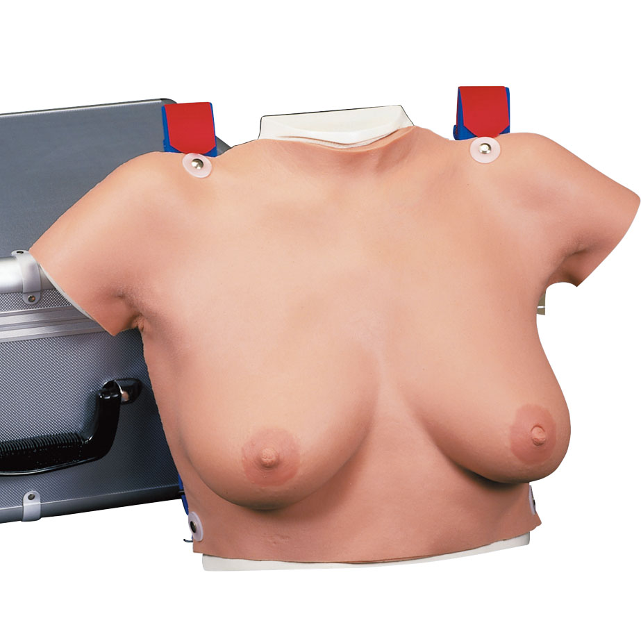 手技模型　乳房触診/着用式
