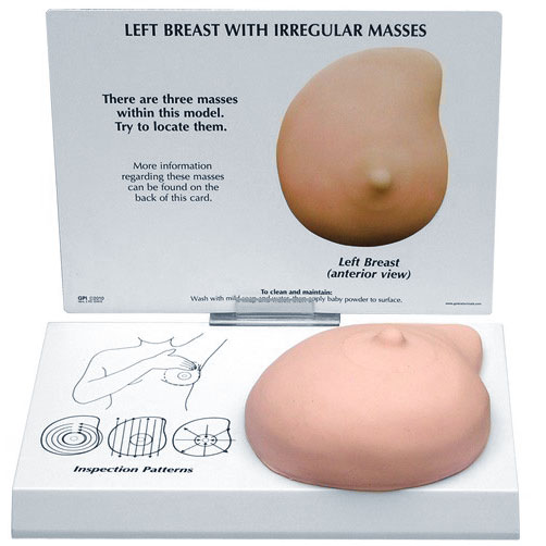 手技模型　乳房触診/線維嚢胞性，乳管閉塞付　GPI Anatomicals