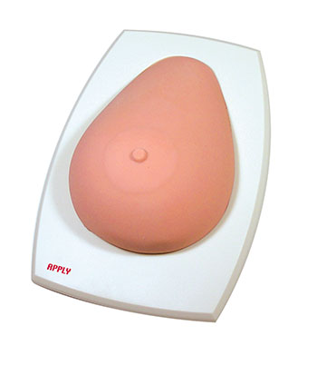 乳房触診模型（OM004）