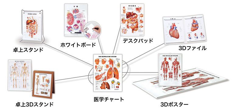 人体図の活用イメージ