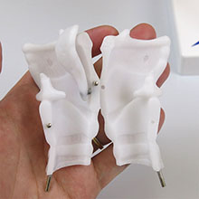 人体模型　気管支樹CTモデル/肺・喉頭部付　詳細画像