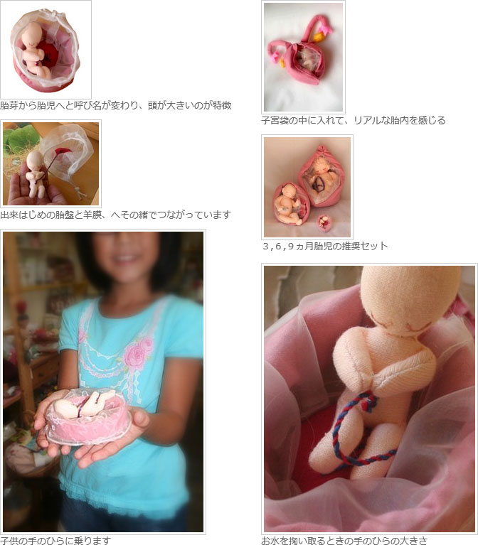 胎児人形/3ヶ月イメージ