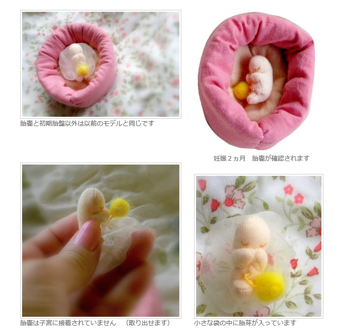 胎芽人形/2ヵ月イメージ