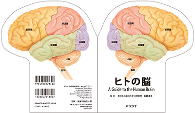 型抜き絵本 ヒトの脳 表紙